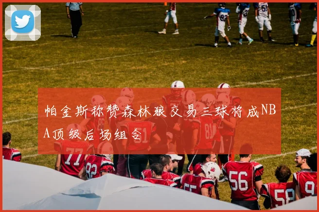 帕金斯称赞森林狼交易三球将成NBA顶级后场组合